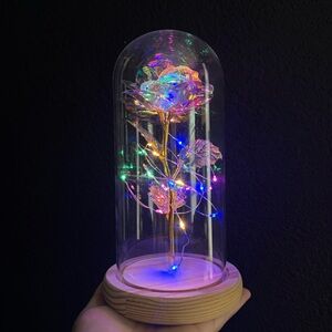 Rose flower LED light Glass dome light lamp nightstand decor